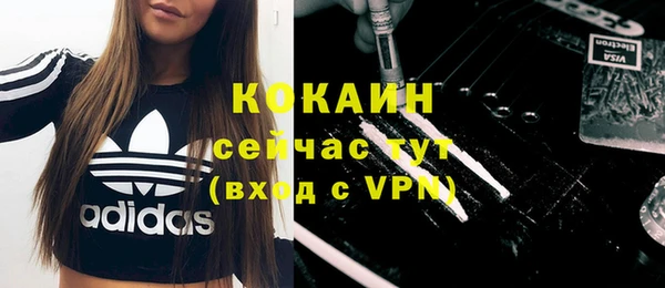 дживик Абинск