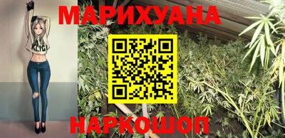 гашик Краснознаменск