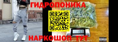 гашик Краснознаменск