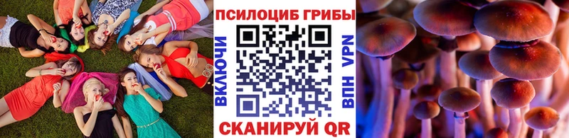 shop формула blacksprut ссылки Кизляр Галлюциногенные грибы GOLDEN TEACHER