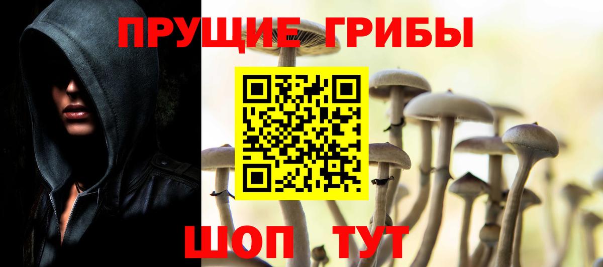 Галлюциногенные грибы Magic Shrooms Кизляр